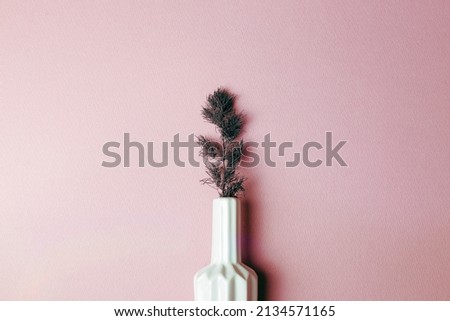 Vase of dry plant on pink background. home decor interior