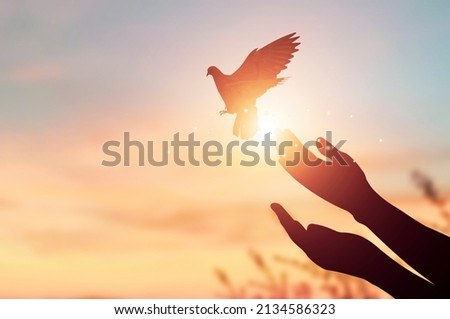Silhouette hand of woman praying and free bird enjoying nature on sunrise and orange background with sunlight.
