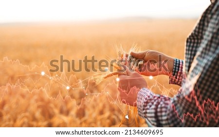 Global and European grain and wheat crisis after Russia's invasion of Ukraine. Ukraine and Russia is the world's largest exporters of grain Royalty-Free Stock Photo #2134609695