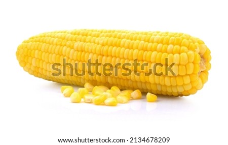 Boiled corn on white background