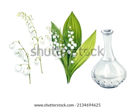 Watercolor clip art. Lilies of the valley. Bouquet, white bells and a glass vase. White spring flowers.