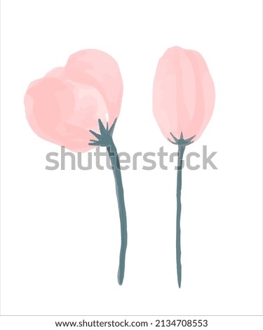 Delicate pink bud painted in watercolor. Vector illustration.