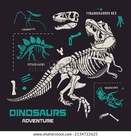 Dinosaurs fossils and bones hand drawn vector illustration 