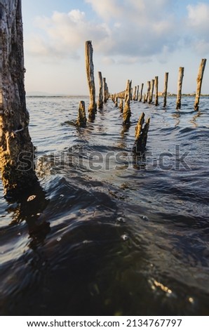 Lake Pomorie, protected area, located on the Via Pontica bird migration route. Bulgarian lake with ornithological importance. Wooden poles in the water. Interior photography. Beautiful seascape.