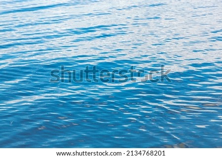 beautiful sea landscape with waves of blue color close up