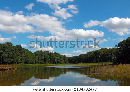 A small lake on a sunny summer day. The background of nature, selective focus