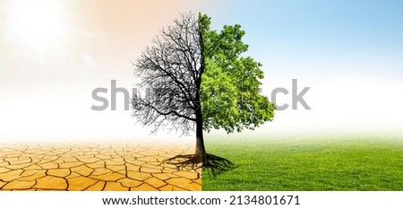 Climate change from drought to green environment