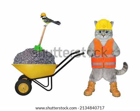 An ashen cat builder in a construction helmet is near a wheel barrow full of crushed stone. White background. Isolated.