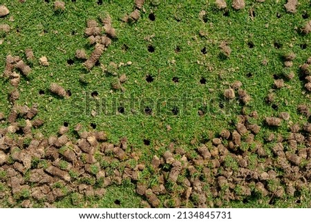 Pile of plugs of soil removed from sports field. Waste of core aeration technique used in the upkeep of lawns and turf Royalty-Free Stock Photo #2134845731