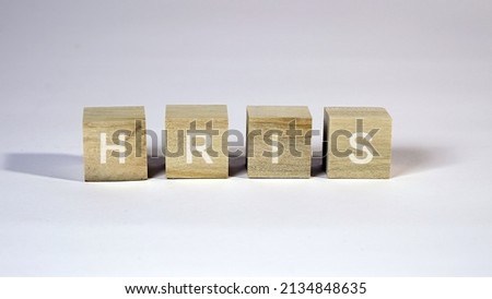 HRIS Human Resources Information System software application on wooden cubes                             