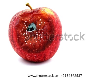 Red apple in poor condition and with fungi on a white background Royalty-Free Stock Photo #2134892537