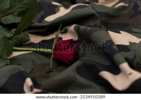 Red rose on army, military camouflage uniform