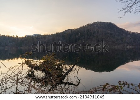 A sunny spring day on a beautiful lake in the Monticolo forest in South Tyrol.