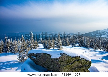 beautiful winter landscape in mountains