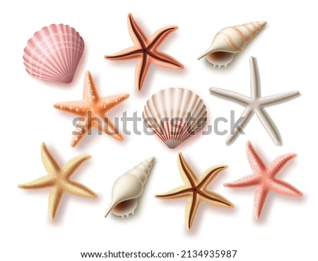 Summer seashells vector set. Beach sea shells collection and assorted aquatic objects isolated in white background for design elements. Vector illustration. 
 Royalty-Free Stock Photo #2134935987