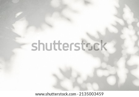 Shadow and sunshine of leaves reflection. Jungle gray darkness leaf shade and lighting on concrete wall for wallpaper, shadows overlay effect. Blur shadow abstract background