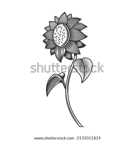 sunflower line art vintage tattoo or print design vector illustration.