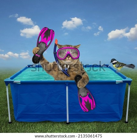 A beige cat in a mask, a snorkel and flippers is swimming in an soft side pool in a meadow.