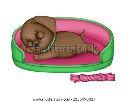 Illustration of a cute lovely cartoon labrador puppy isolated on a white background. Cute cartoon animals.