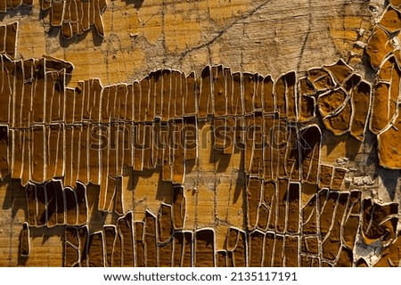 Remains of old paint on a wooden pine board. Background for design.