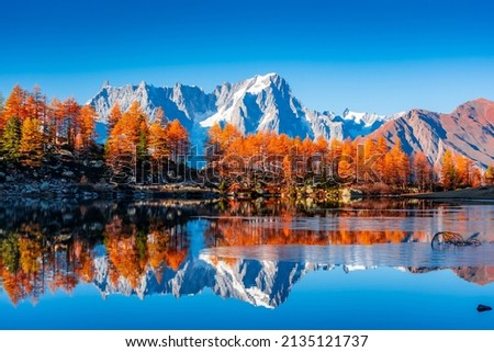 Beautiful reflection of Monte Rosa (Italian Alps) over Lake Arpy in autumn foliage, Italy