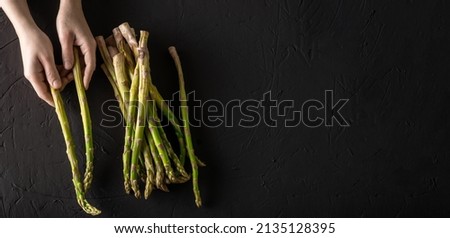 Stems of asparagus in female hands. Dark background. Place for text. Banner.