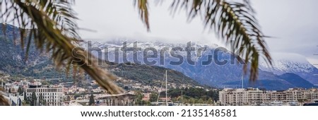 Palm branches against the backdrop of a snow-capped mountain in Montenegro BANNER, LONG FORMAT