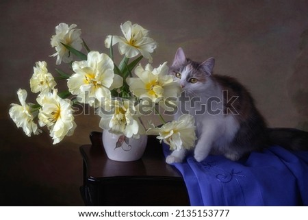 Bouquet of tulips and pretty tricolor kitty