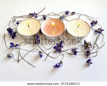 Burning candle and dry flowers isolated on white background.