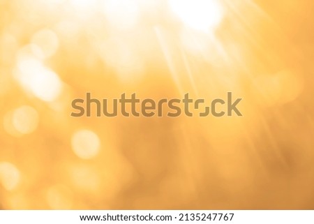sunlight through leaves on tree, image blur bokeh background. Background yellow blur beautiful is the bokeh effect nature color. autumn time. fall  season Royalty-Free Stock Photo #2135247767