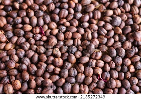 Coffee beans saturated color picture beautiful background