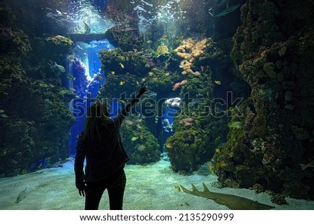 Girl looking tropical fishes of coral reef aquarium through a giant glass. Blackchin guitarfish Bluespine Unicornfish, Clown triggerfish and Porkfish. Sea turtle and sharks swimming on rocks.