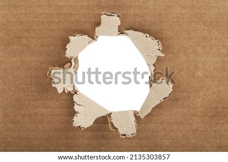 Torn hole in cardboard isolated on white background. Detail for design. Design elements. Macro. Full focus. Background for business cards, postcards and posters.