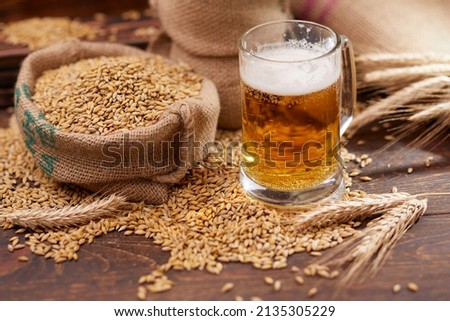 beer ingredients:barley near beer glass Royalty-Free Stock Photo #2135305229