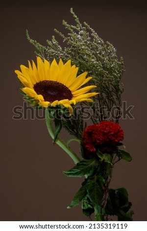 Photograph of the center of beautiful yellow sunflower taken in a studio, showing the textured effect of the seed pods of the flower in a stunning arrangement