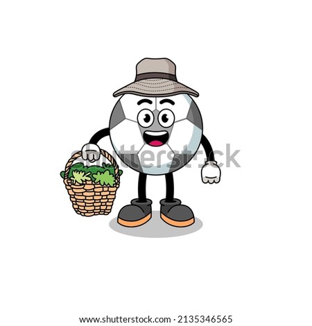 Character Illustration of soccer ball as a herbalist , character design