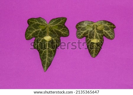 two leaves with facial expression, creative scary background, look like horror ghosts