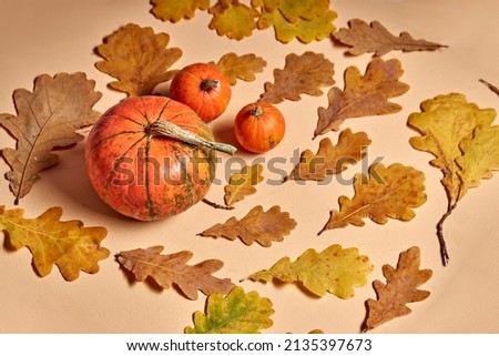 pumpkins and yellow flowers on surface. Copy space, top view. Flat lay, space for text. autumn seasonal vegetables