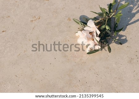 Blooming oleander and olive branches in sunset, long shadows. Golden marble backgound, sunlight, shadow overlay.  Summer, vacation design. Mediterranean floral still life. Top view, empty copy space.