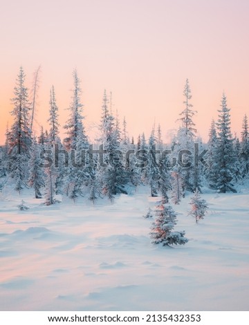 Awesome Beautiful Nature Snowfall in forest. Royalty-Free Stock Photo #2135432353