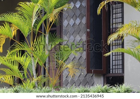 The concept of a house with an amazing view of palm trees. Green house