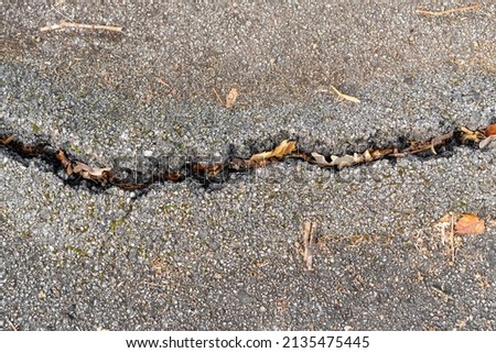 Crack in the asphalt road close-up. Break of the pavement surface