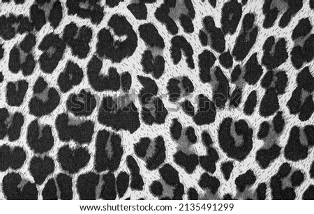background with leopard texture, close up