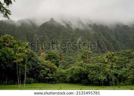 Green Mountains and Rain Forests in Hawaii