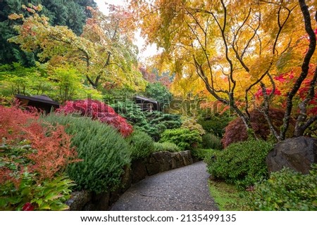 autumn in a public garden and enjoy the beautiful and colorful scene of maple trees, victoria, bc, canada