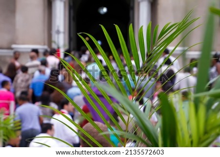 Holy Week. Traditional Catholic celebrate Palm Sunday. Christian faith. Royalty-Free Stock Photo #2135572603