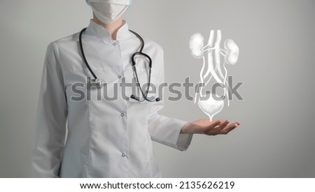  renal system issues medical concept. Photo of female doctor, empty space.  Royalty-Free Stock Photo #2135626219