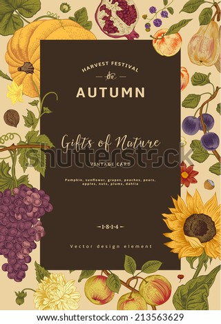 Autumn harvest. Vector vintage card. Frame with flowers, fruits, nuts and pumpkin.