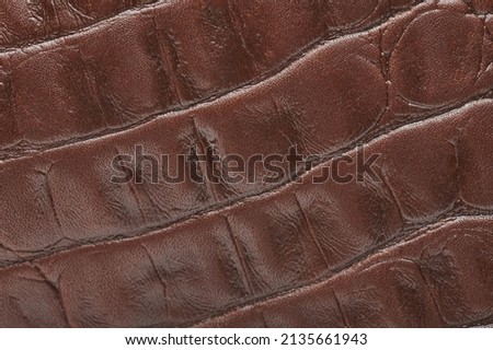 Surface of brown snake leather background macro close up view