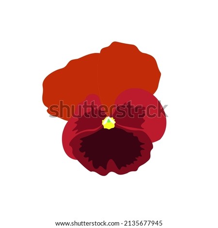 Dark red pansies flower isolated on white background. Violet Viola tricolor blooming. vector design eps 10